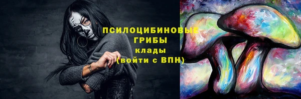 спиды Дмитров