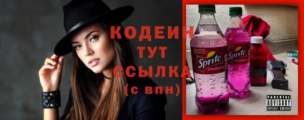 прущие грибы Арсеньев