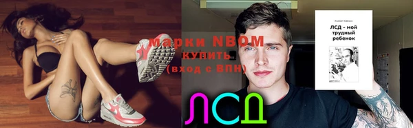 прущие грибы Арсеньев