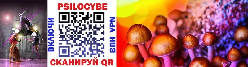 Псилоцибиновые грибы Cubensis  Купить  Строитель 